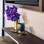 Amo By Amano Friedrichstrasse 베를린